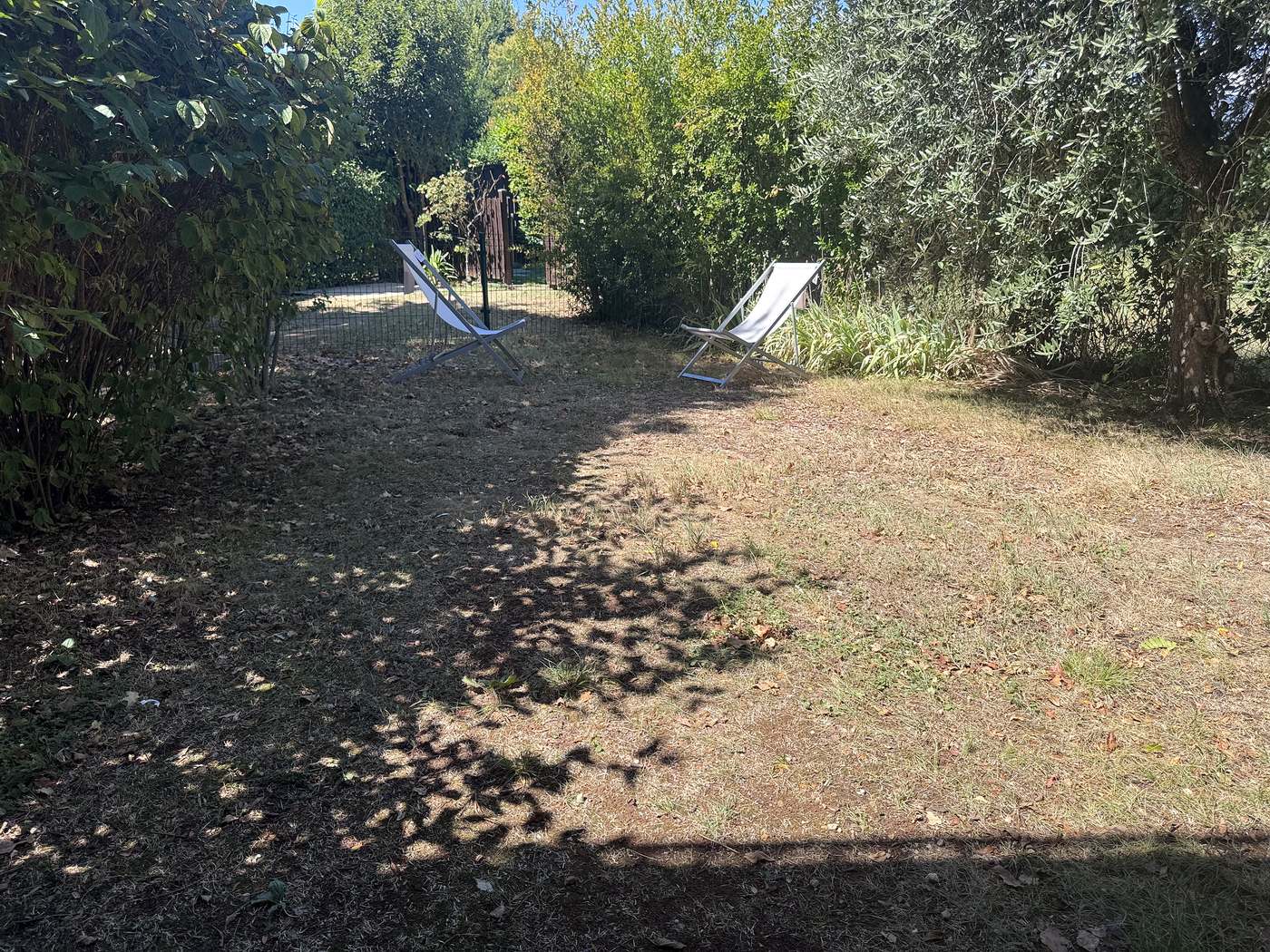 Due sdraio nel giardino privato, all'ombra degli alberi